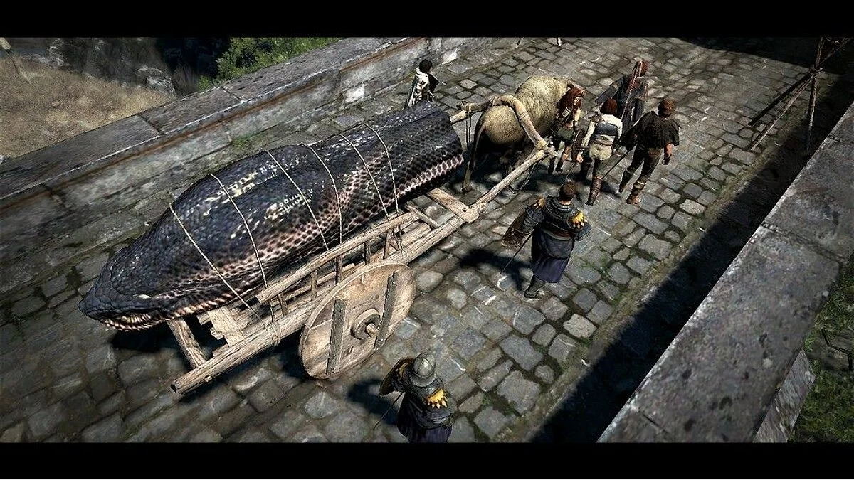 Скриншоты из Dragon's Dogma / Картинка 108
