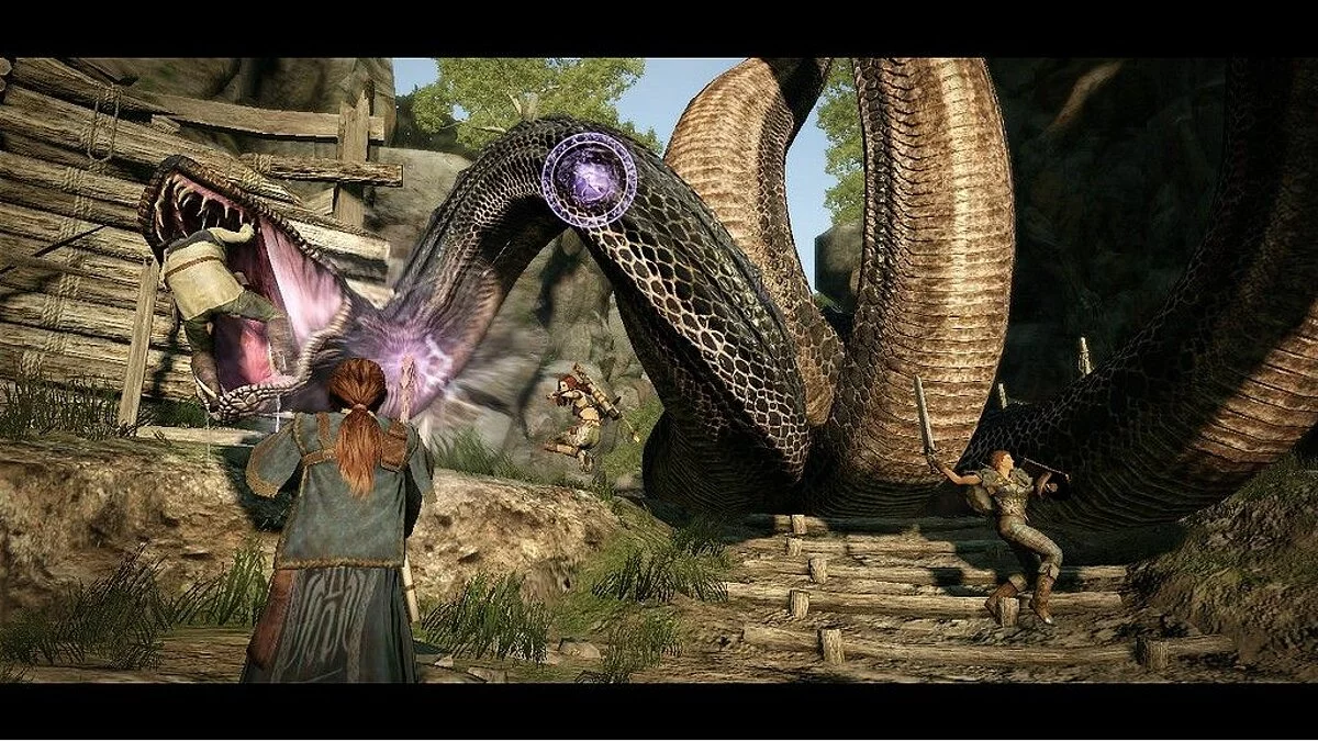Скриншоты из Dragon's Dogma / Картинка 132