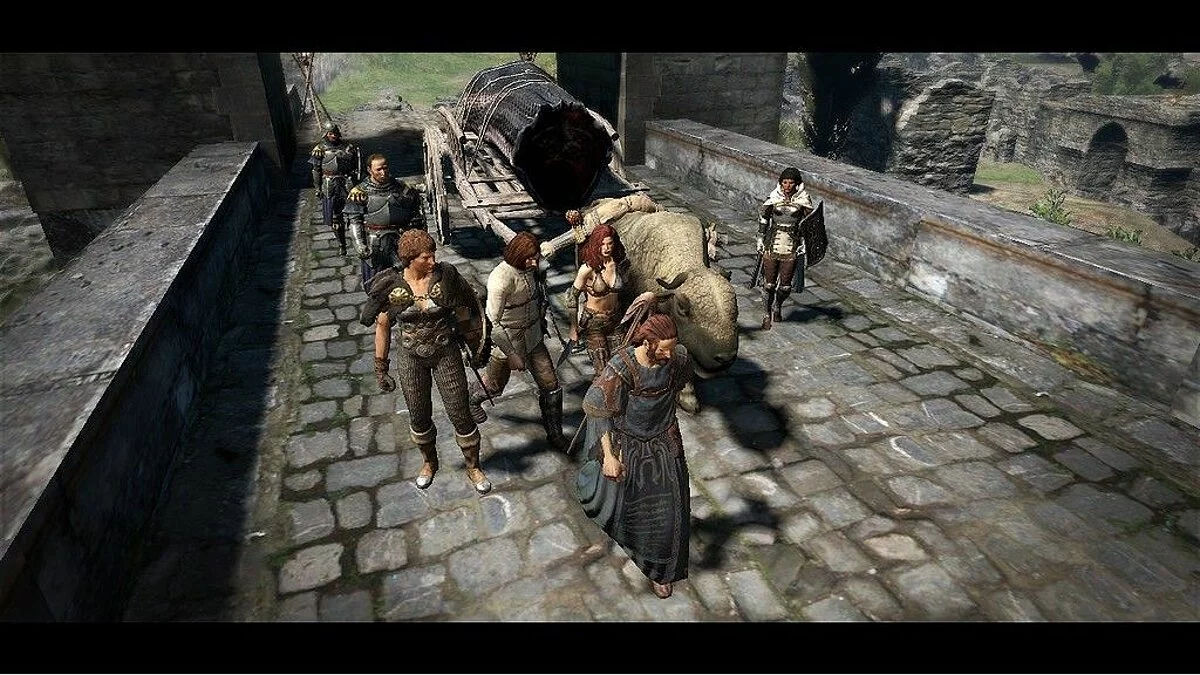 Скриншоты из Dragon's Dogma / Картинка 137