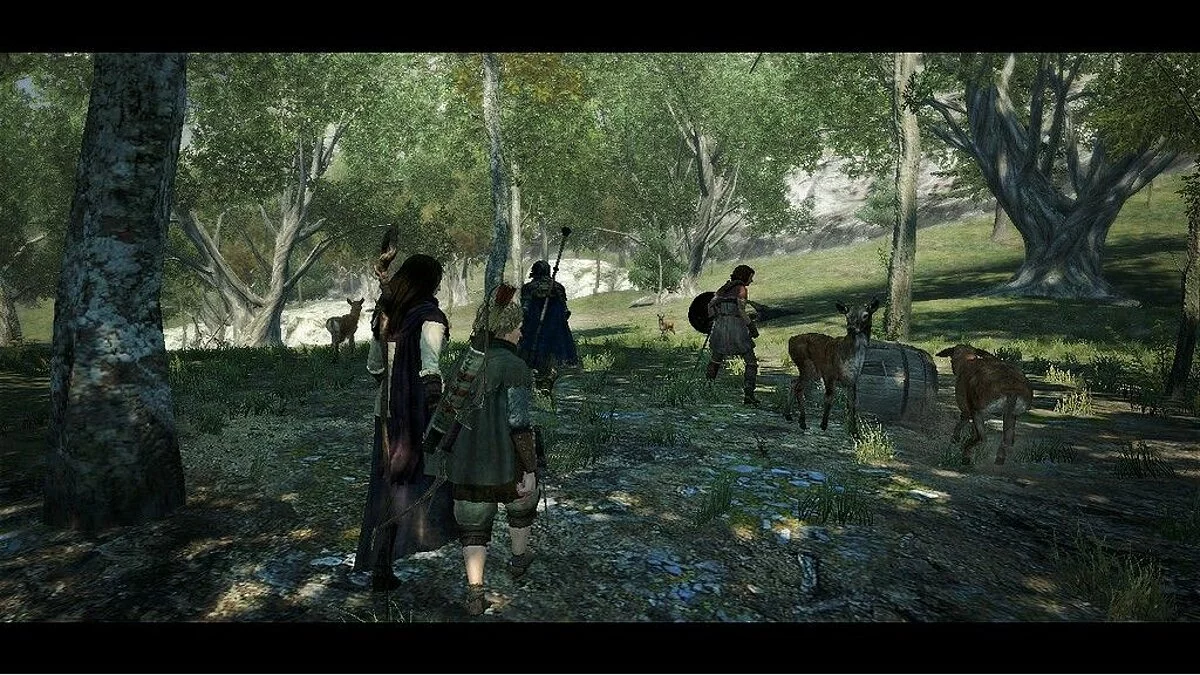 Скриншоты из Dragon's Dogma / Картинка 146