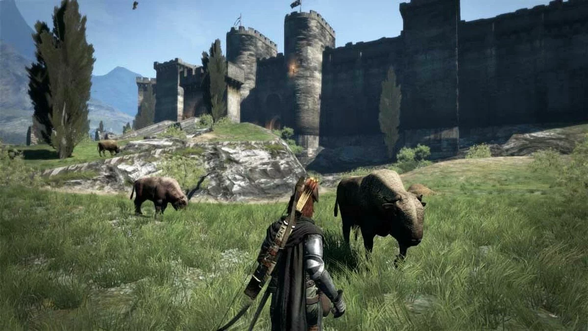 Скриншоты из Dragon's Dogma / Картинка 57