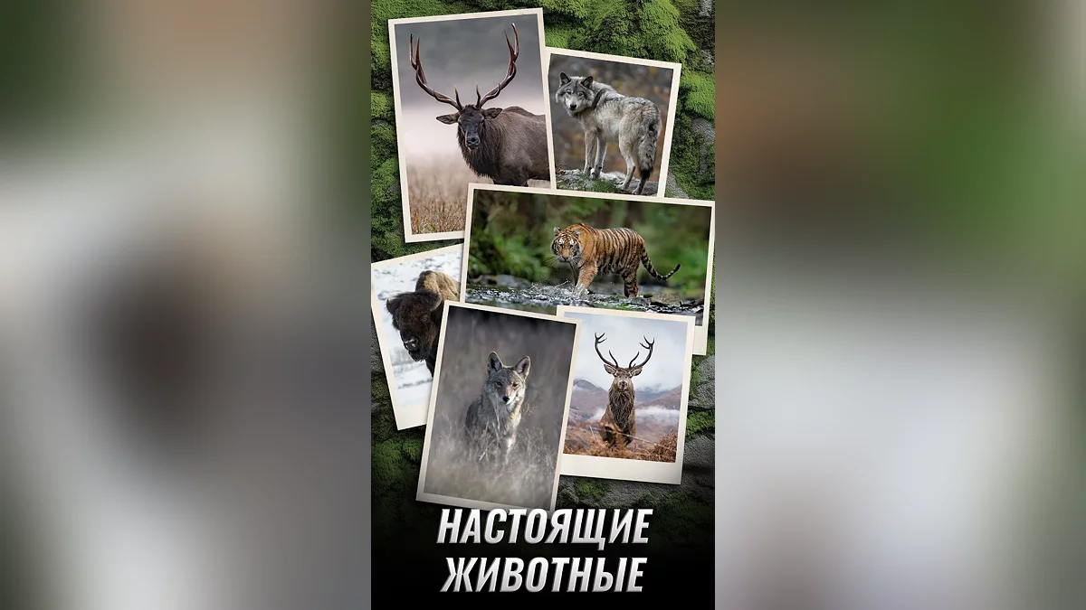 Скриншоты из Trophy Hunter: Casual Hunting