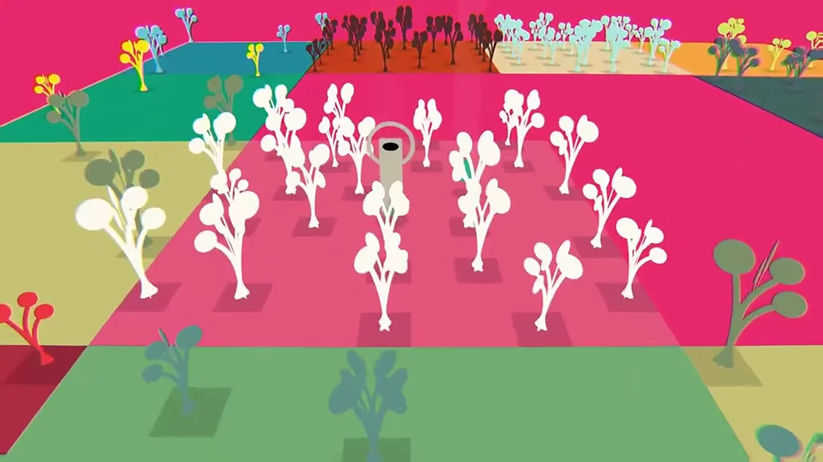 Картинка из 