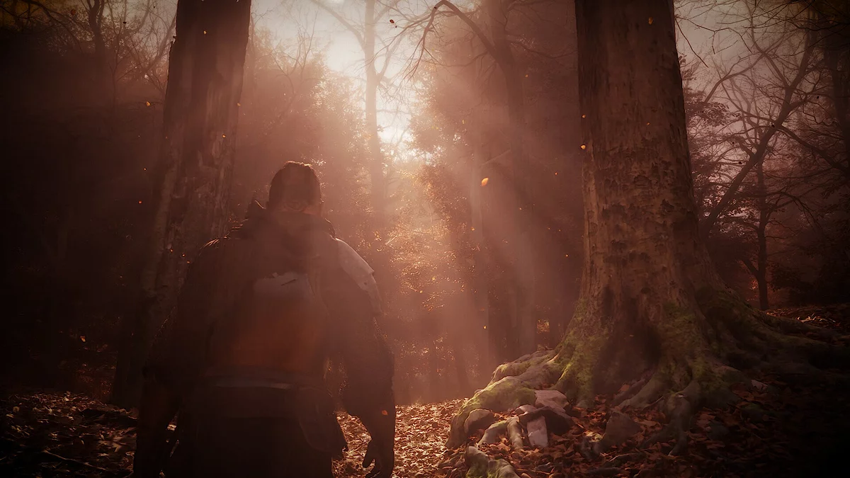 Скриншоты из The Vernyhorn