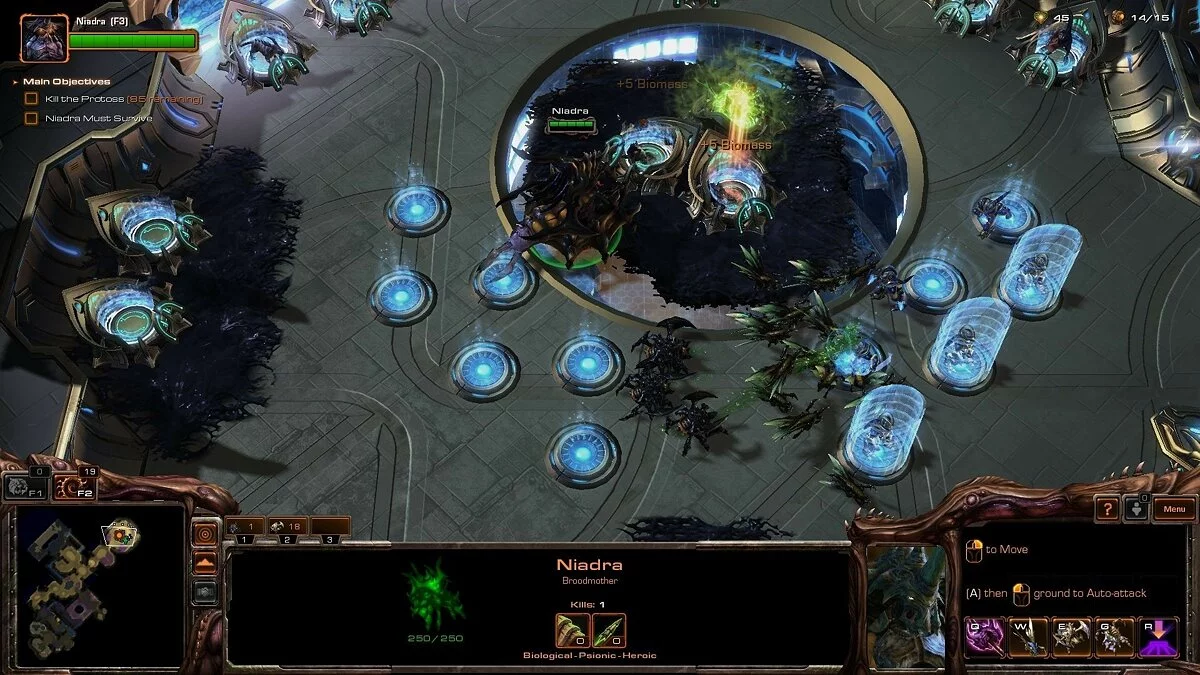 Скриншоты из StarCraft 2: Heart of the Swarm / Картинка 259