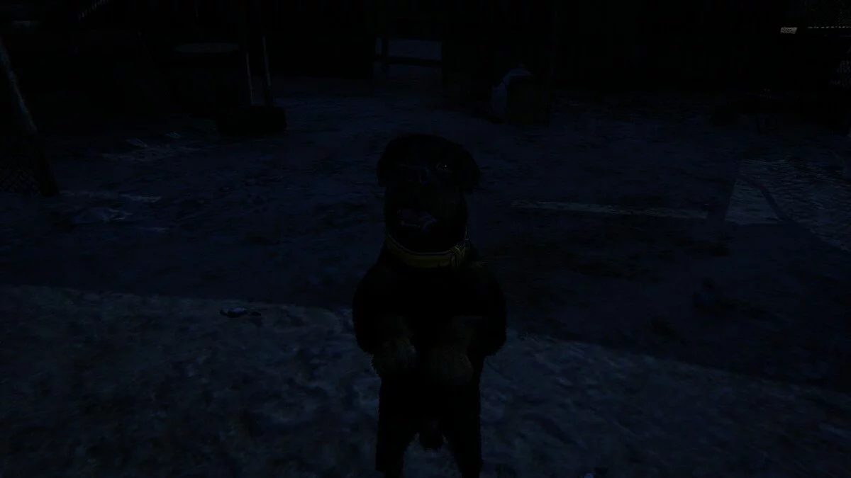 Скриншоты из GTA 5 / Картинка 773