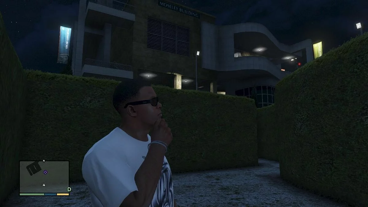 Скриншоты из GTA 5 / Картинка 336