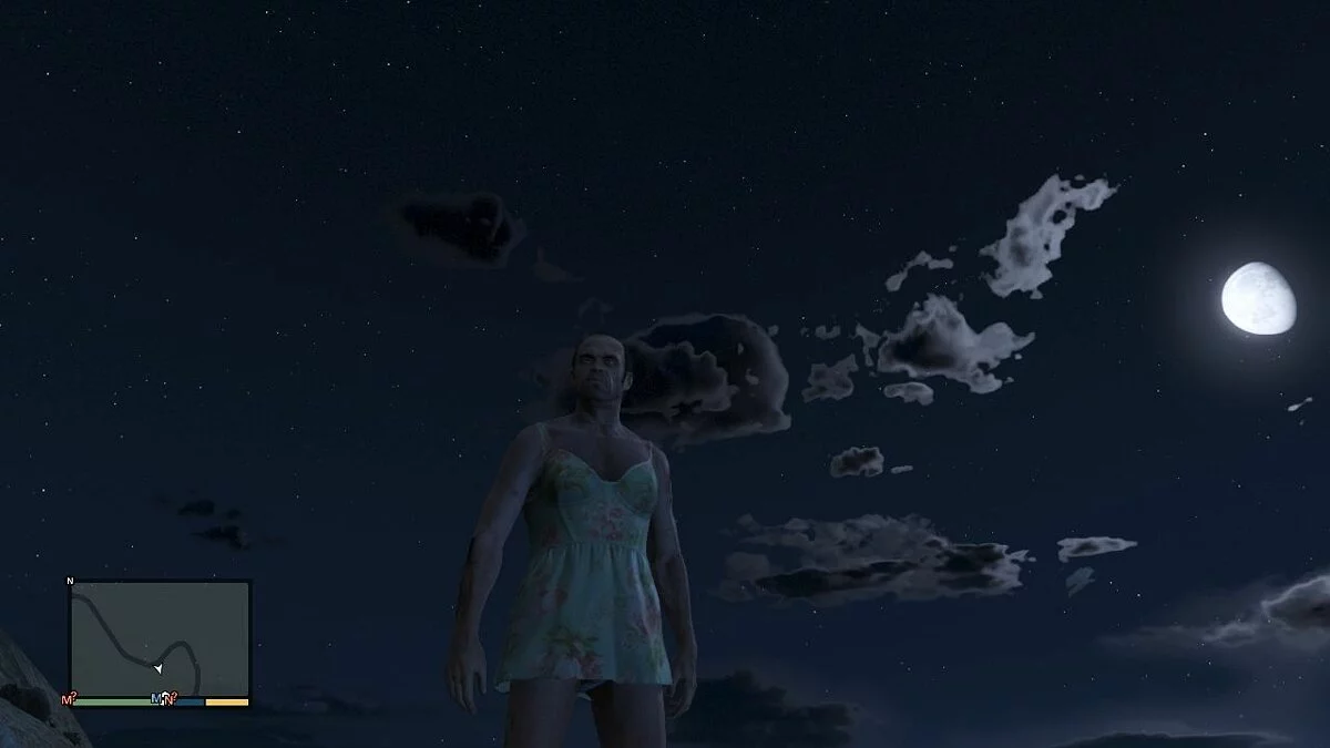 Скриншоты из GTA 5 / Картинка 369