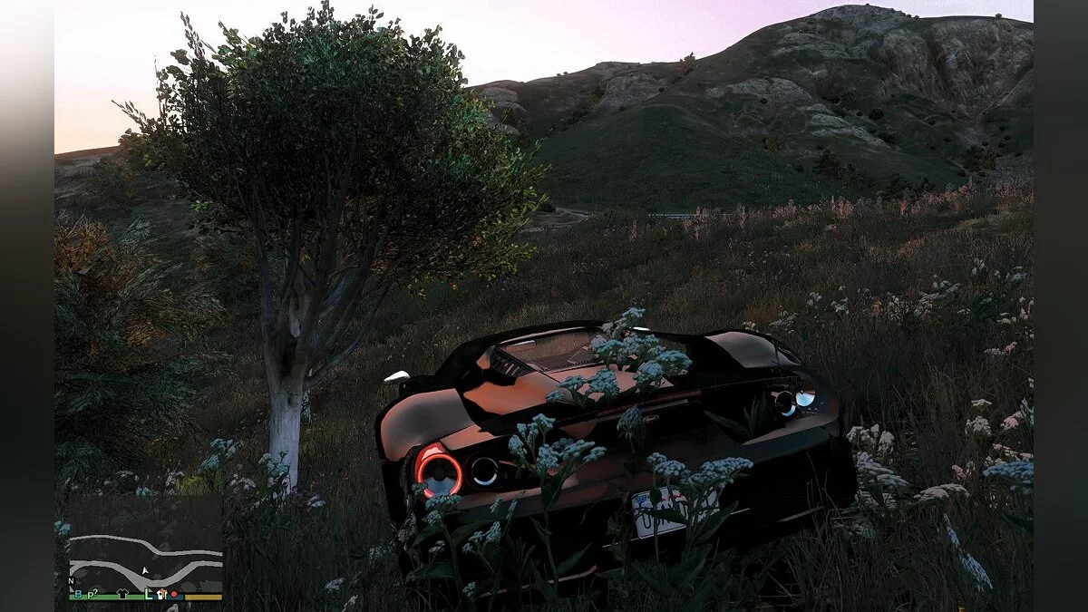 Скриншоты из GTA 5 / Картинка 936