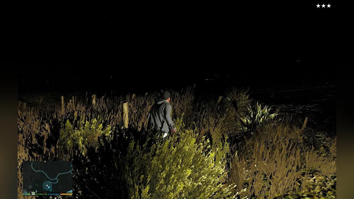 Скриншоты из GTA 5 / Картинка 972