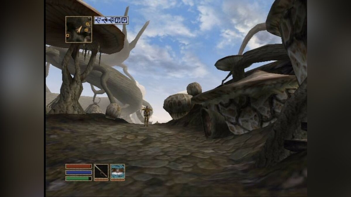 Драйверы для Elder Scrolls 3: Morrowind