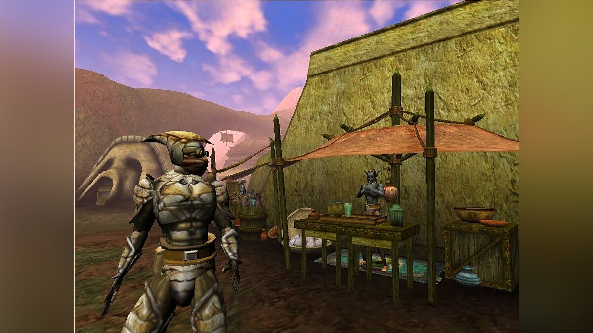 Morrowind что это за игра (99) фото