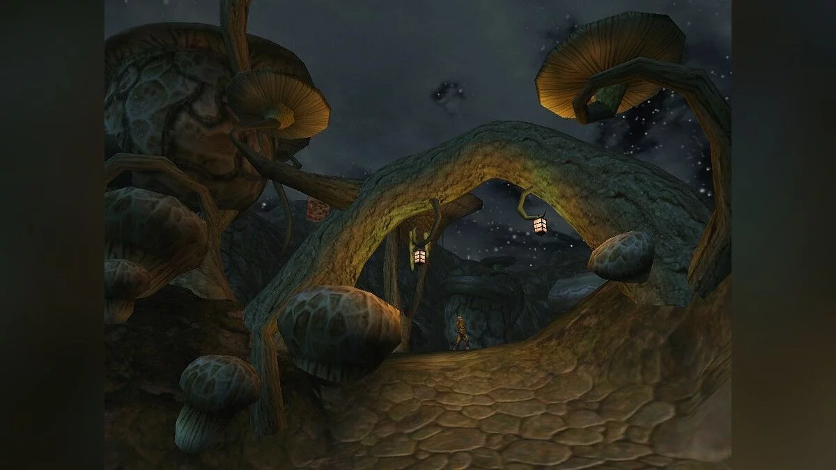 Скриншоты из Elder Scrolls 3: Morrowind / Картинка 2