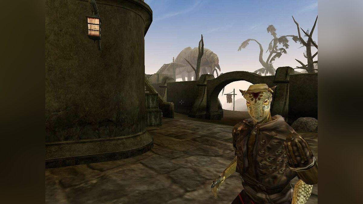 The elder scrolls morrowind steam key фото 101