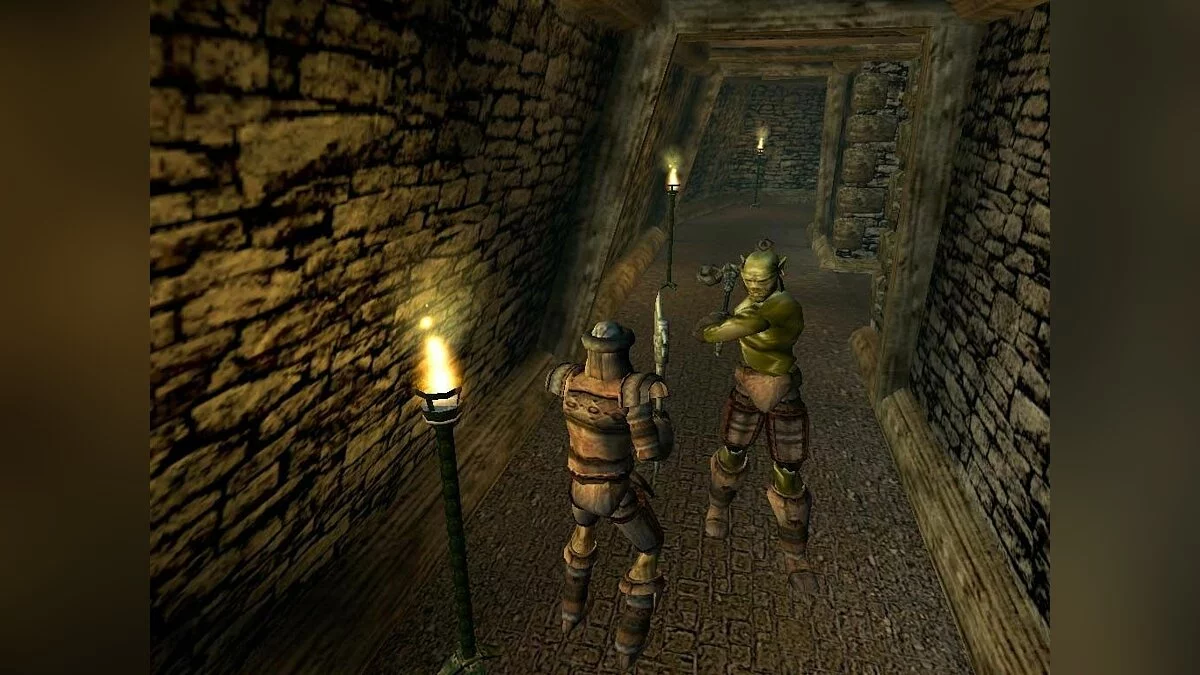 Скриншоты из Elder Scrolls 3: Morrowind / Картинка 11