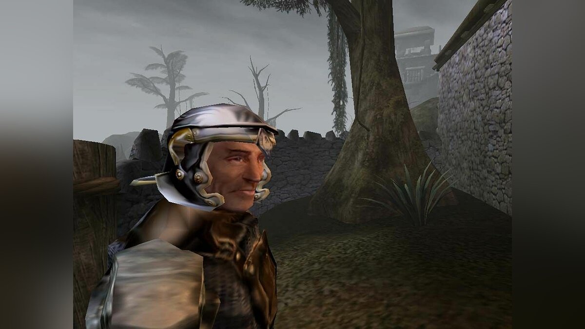 Tes morrowind steam фото 19