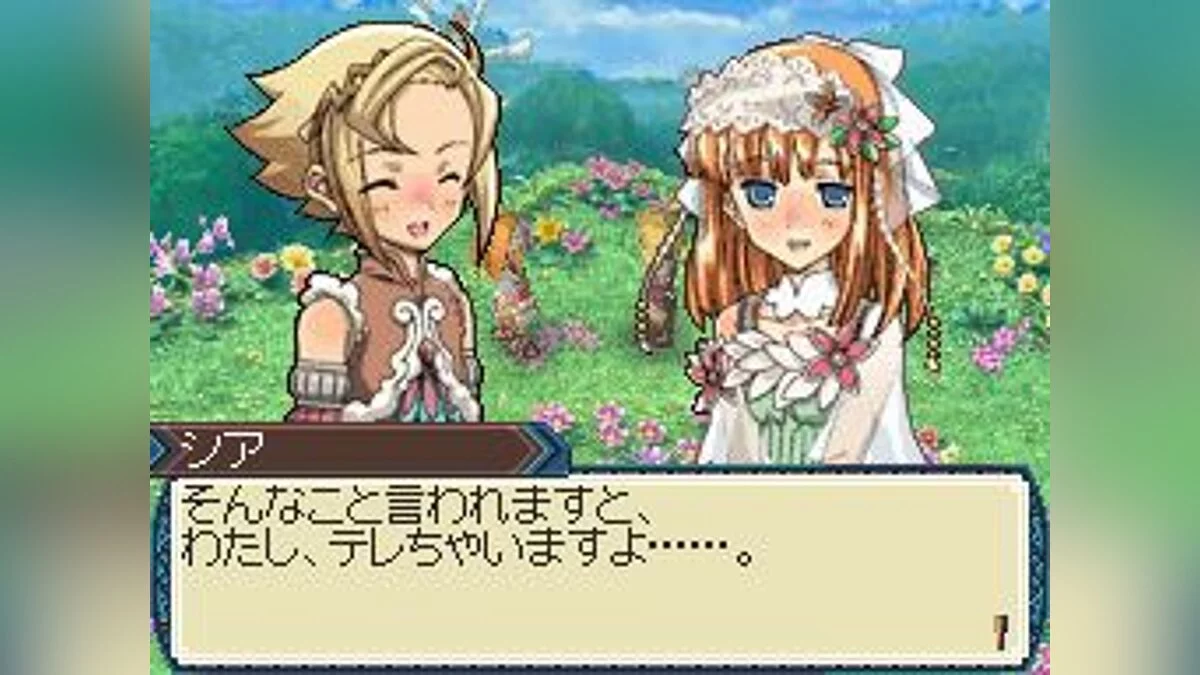 Скриншоты из Rune Factory 3: A Fantasy Harvest Moon