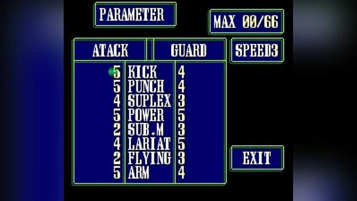 Скриншоты из Super Fire Pro Wrestling Queen's Special