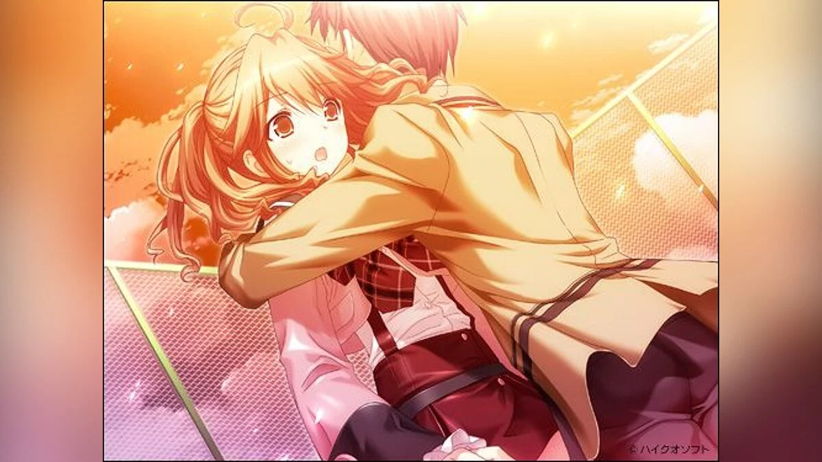 Скриншоты из Sakura Sakura