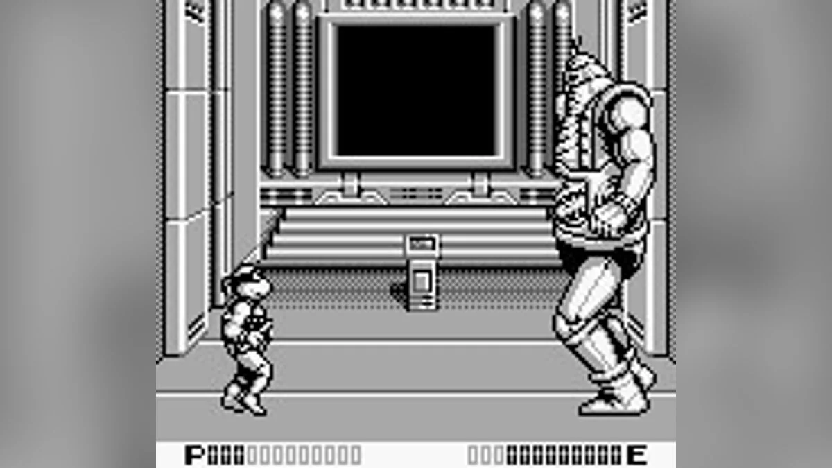 Скриншоты из Teenage Mutant Ninja Turtles 2:  Back from the Sewers