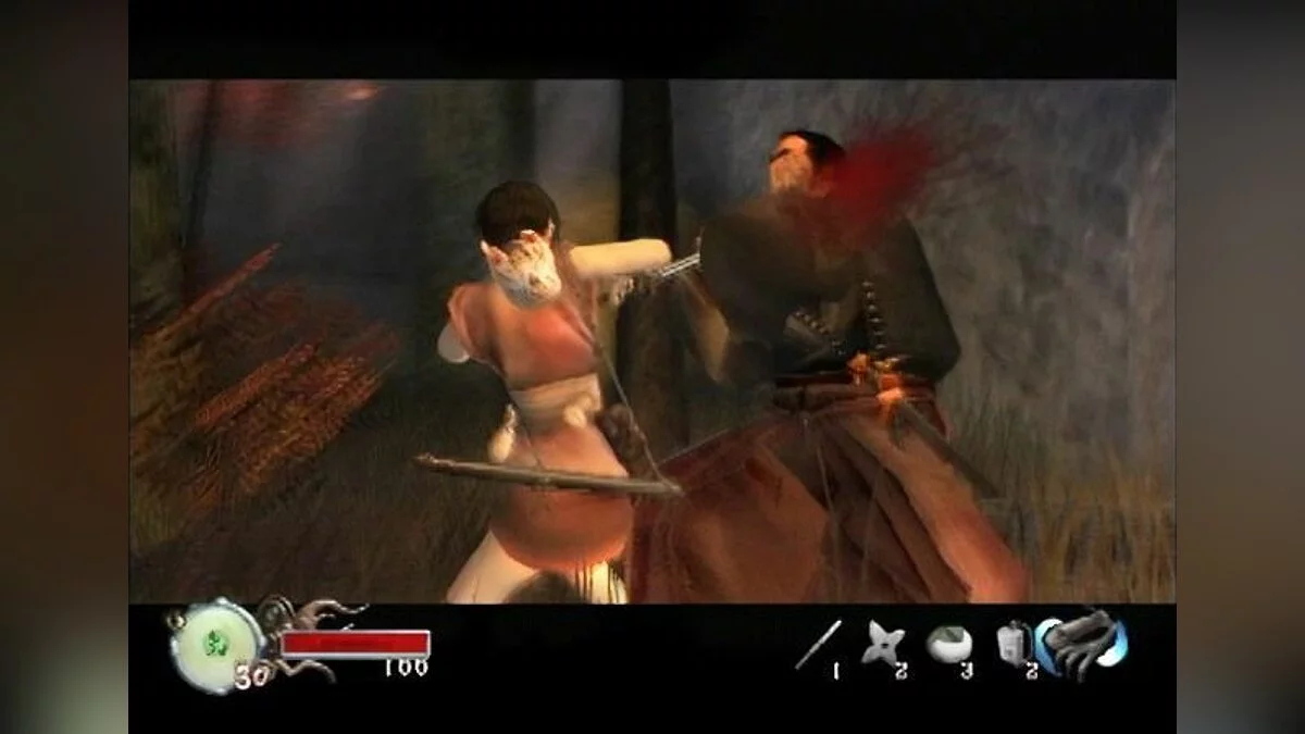 Скриншоты из Tenchu: Fatal Shadows