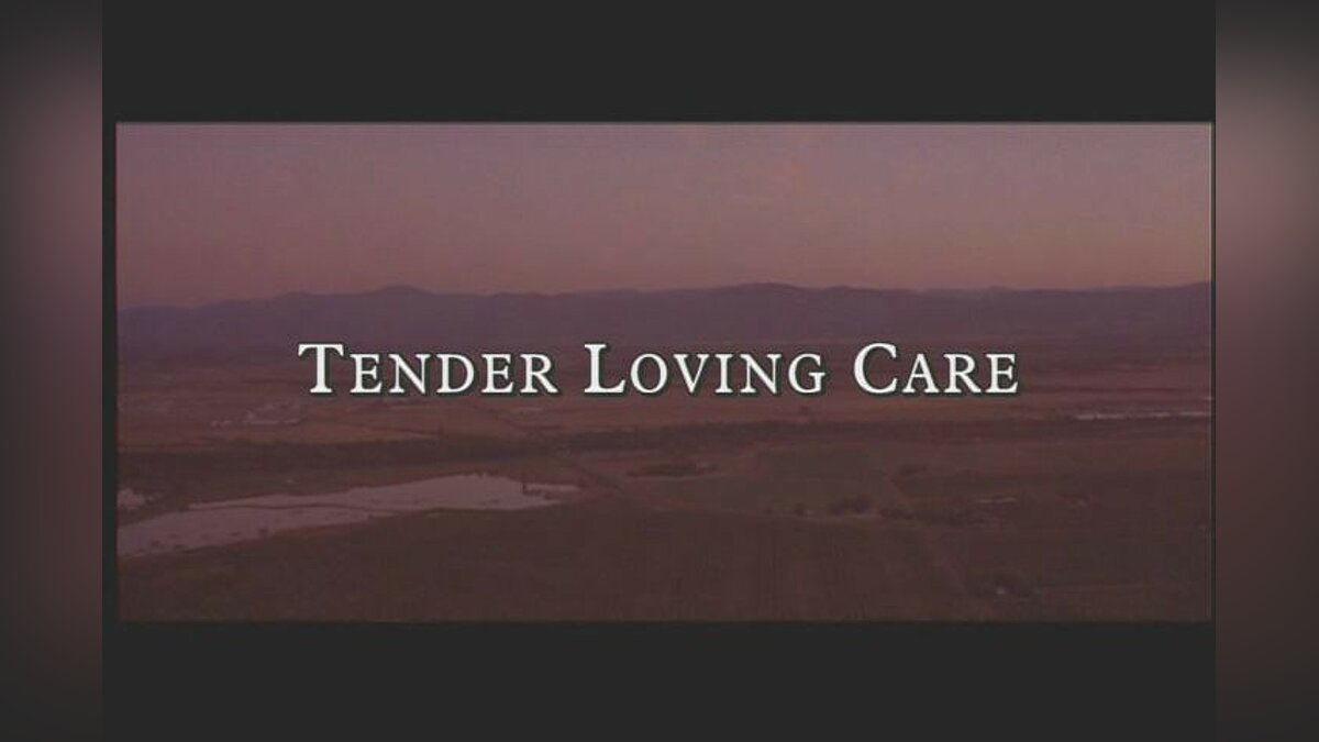 Tender loving. Tender loving Care games. Tender Love and Care. TLC tender loving Care игра 1998. Tender loving Care.