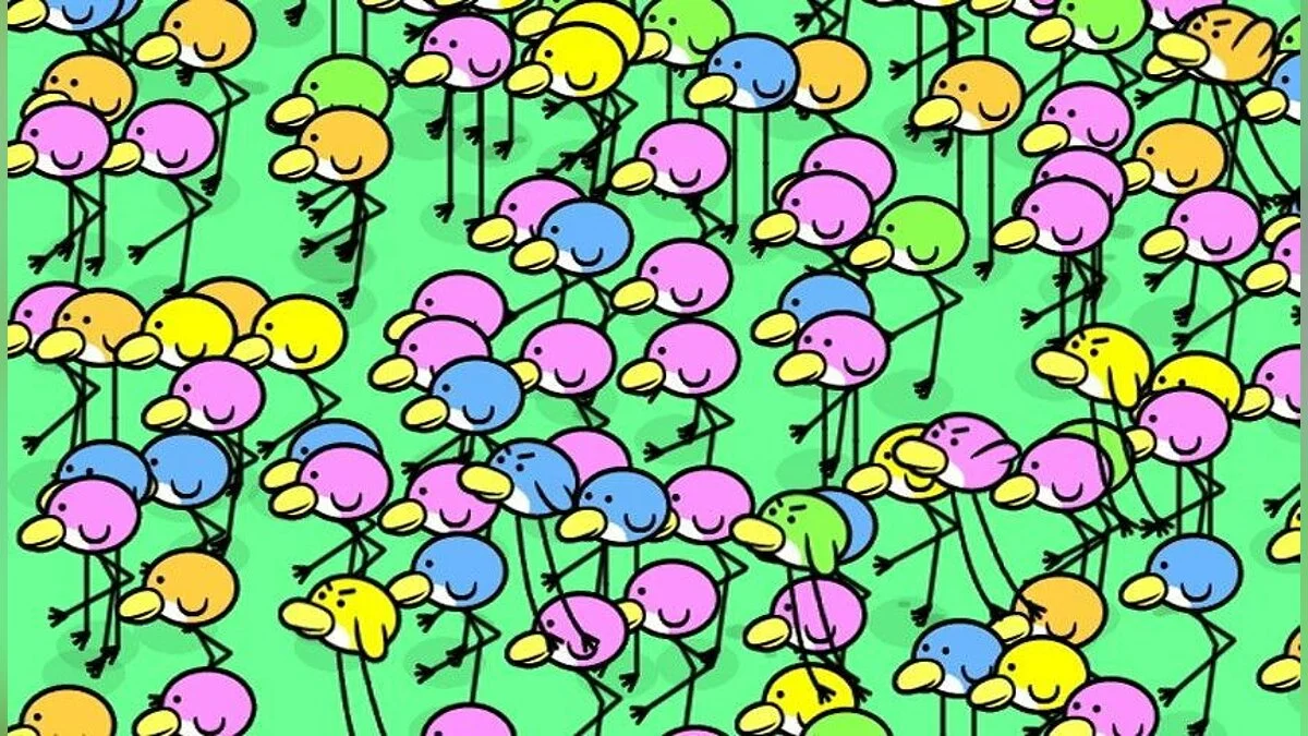 Картинка из 