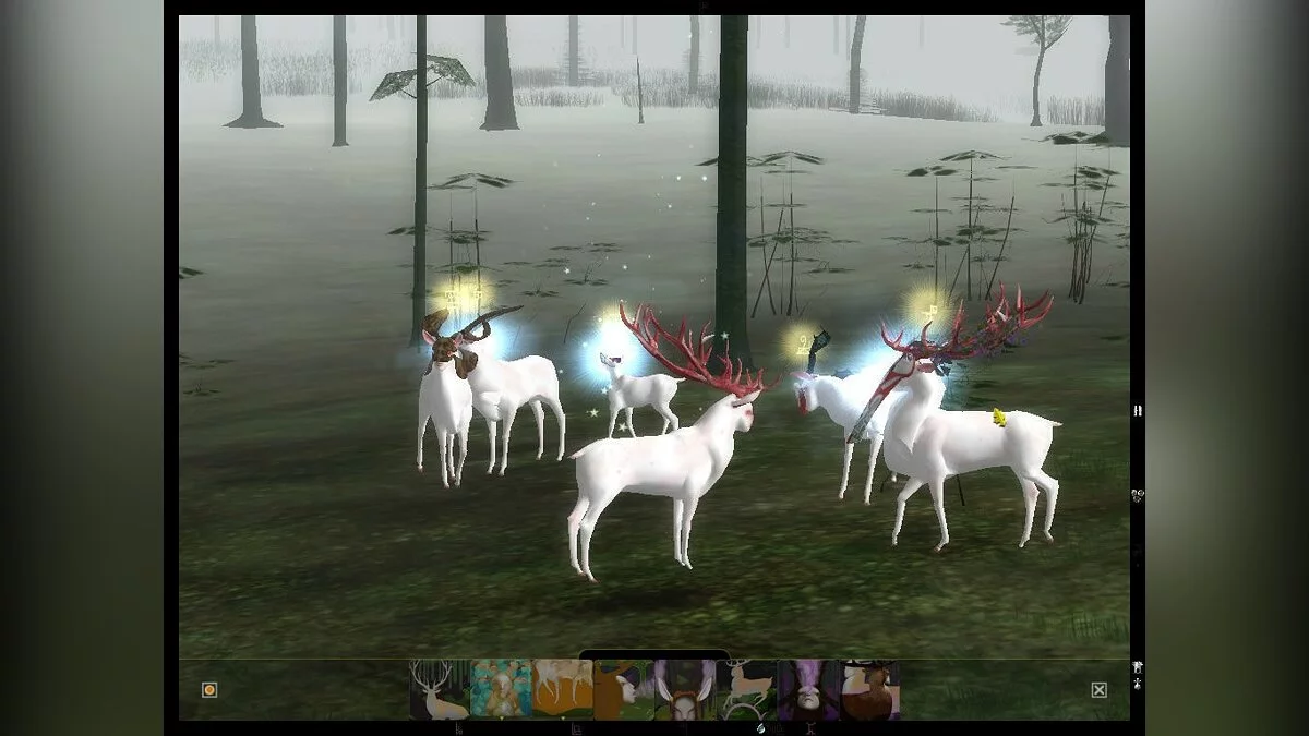 Скриншоты из Endless Forest