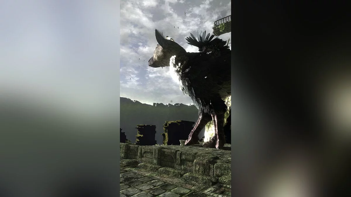 Скриншоты из Last Guardian / Картинка 17