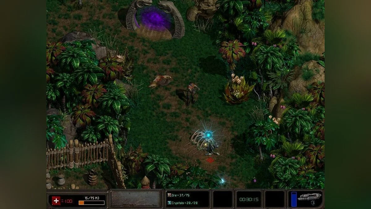 Картинка из 