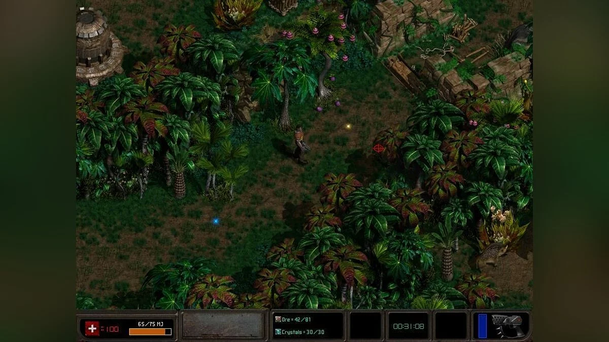 Картинка из 