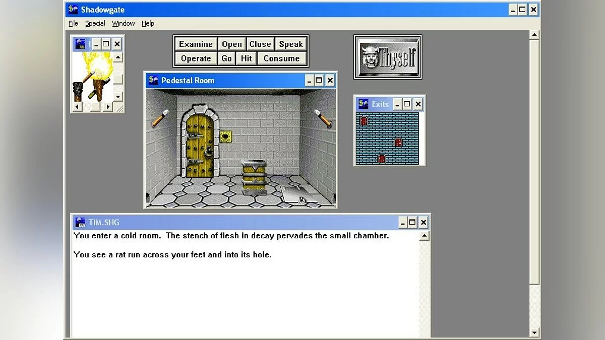 Скриншоты из Shadowgate