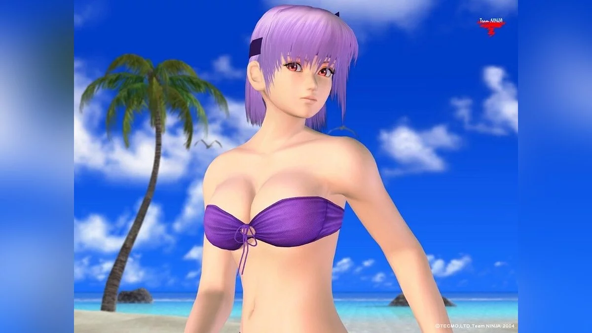 Девушки из Dead or Alive / Картинка 9