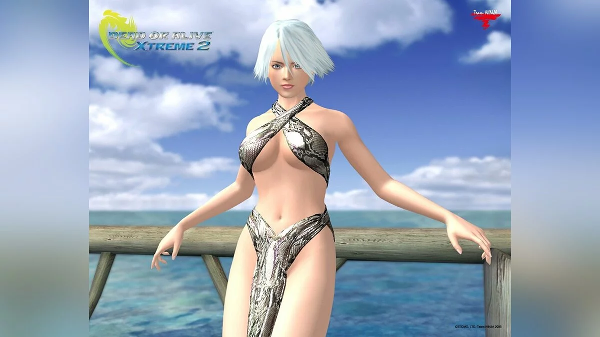 Девушки из Dead or Alive / Картинка 37