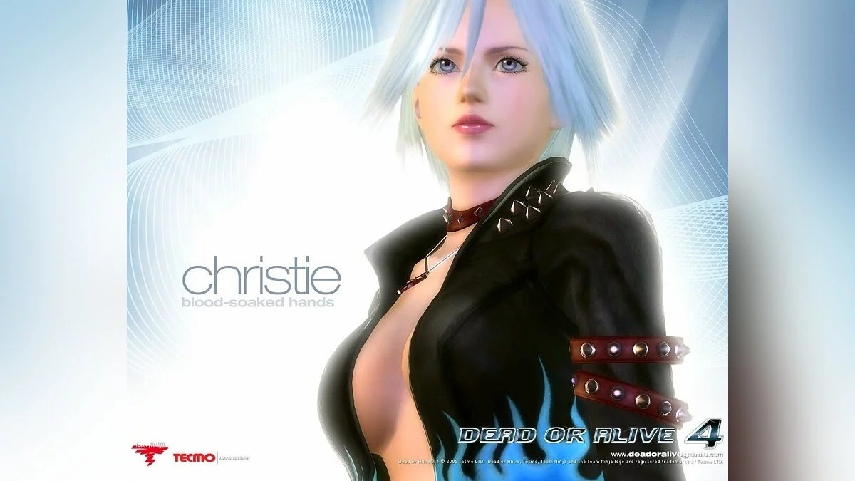 Девушки из Dead or Alive / Картинка 19