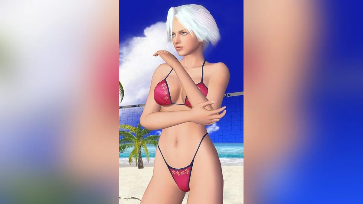 Девушки из Dead or Alive / Картинка 21