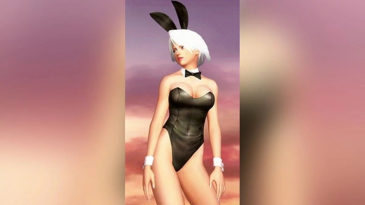 Девушки из Dead or Alive / Картинка 22