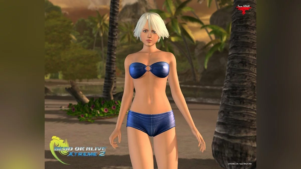Девушки из Dead or Alive / Картинка 24