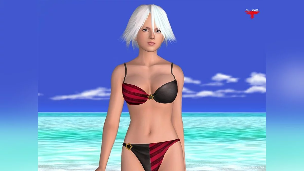 Девушки из Dead or Alive / Картинка 25