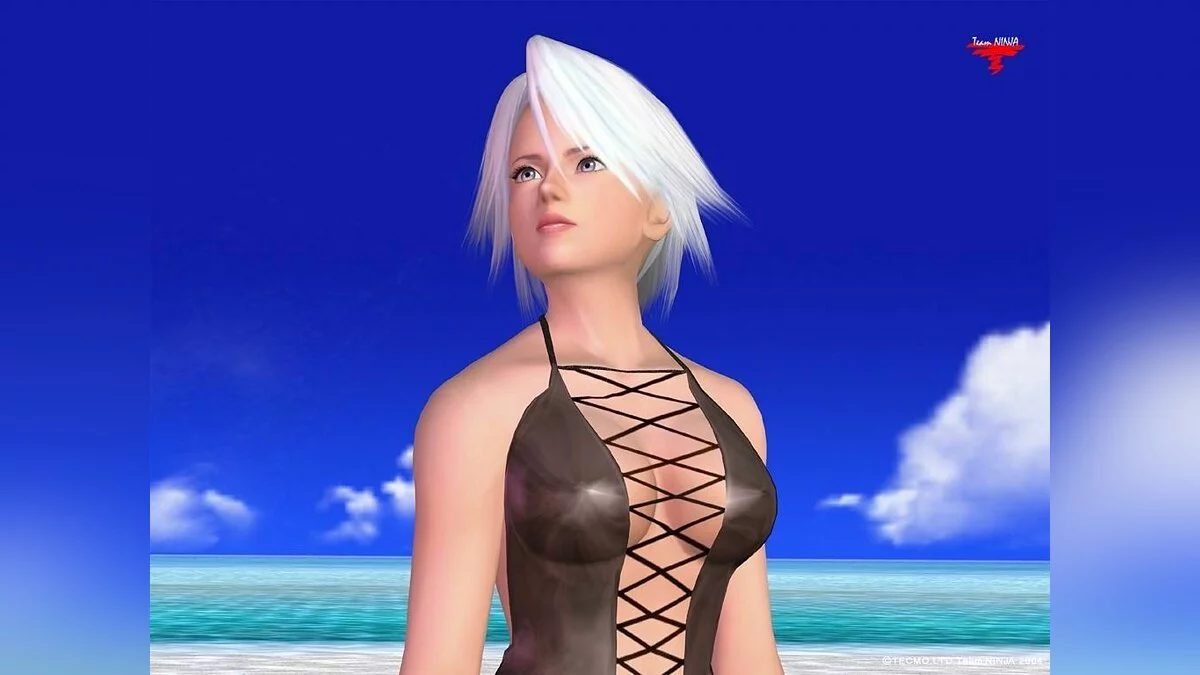 Девушки из Dead or Alive / Картинка 26