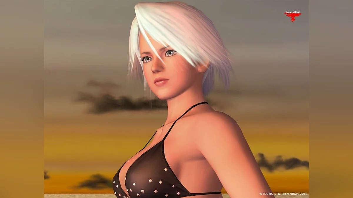 Девушки из Dead or Alive / Картинка 27