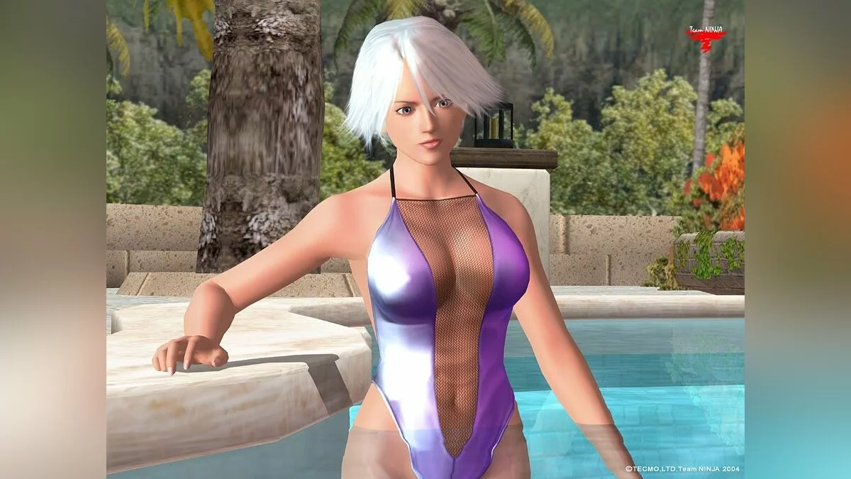 Девушки из Dead or Alive / Картинка 29