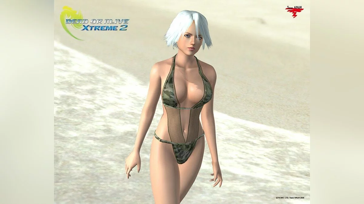 Девушки из Dead or Alive / Картинка 33