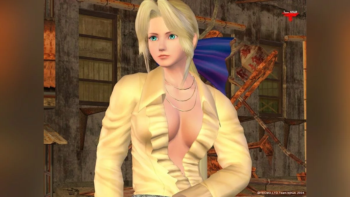 Девушки из Dead or Alive / Картинка 49