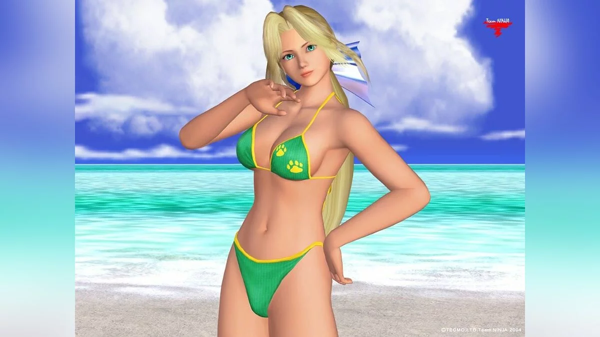 Девушки из Dead or Alive / Картинка 53