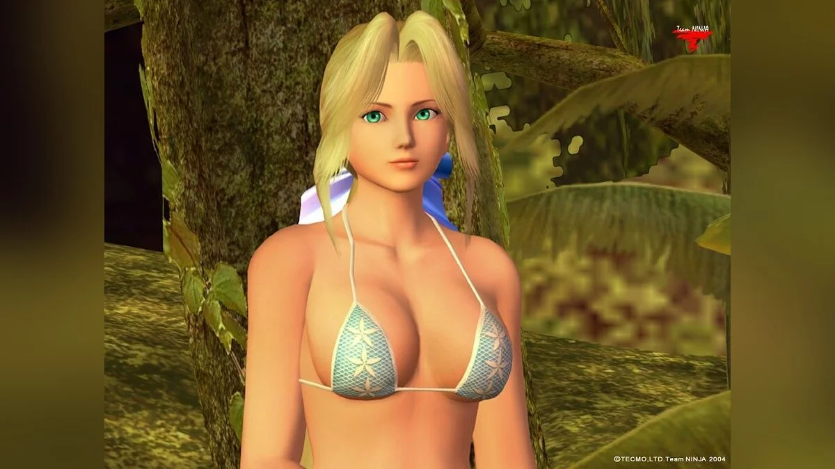 Девушки из Dead or Alive / Картинка 54