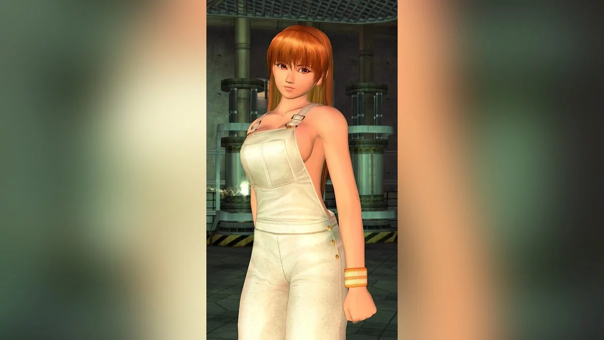 Девушки из Dead or Alive / Картинка 70