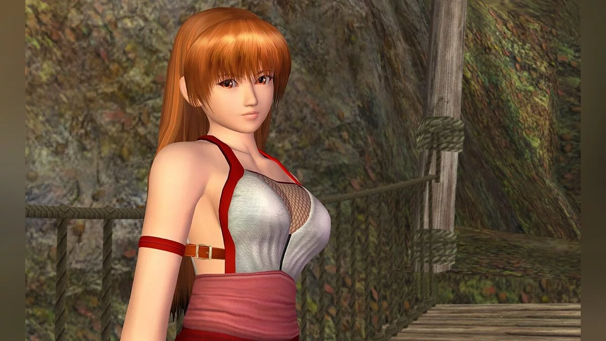 Девушки из Dead or Alive / Картинка 71