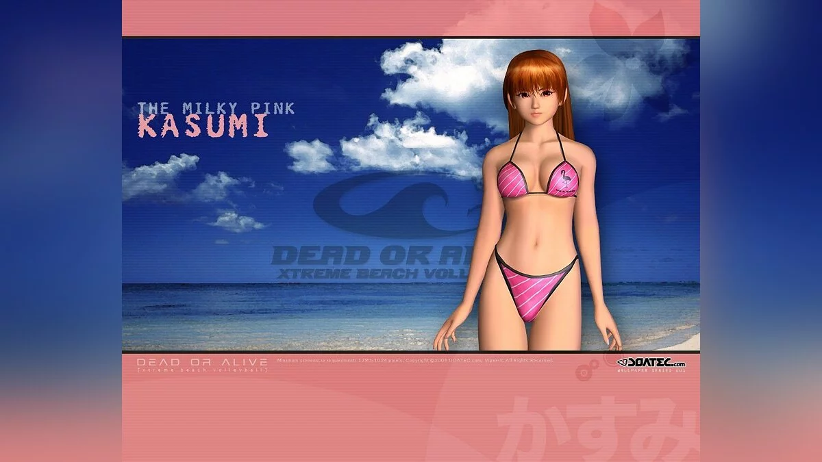 Девушки из Dead or Alive / Картинка 72