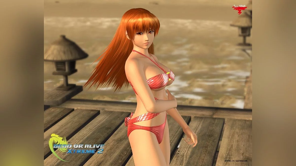 Девушки из Dead or Alive / Картинка 74